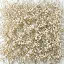 Fumete 200 Pcs Mini Dried Baby Breath Flowers 3000+ Wedding Ivory Natural Flowers Bulk Dried Gypsophila for Vase Bride Shower Invitation Card DIY Candle Making Decor Craft Party Resin Art, 2-4 in