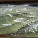 CQURE 50" Large Fake Fern Artificial Ferns for Outdoors,96 Branches Set of 2 Realistic Artificial Boston Ferns Bush Plant for Indoor Outdoor Garden Porch Decor