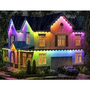 Lemon Lovely Permanent Outdoor Lights