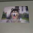 Alaskan Malamute Calendar 2026 Monthly Wall Calender 12 Month | American Made In The USA