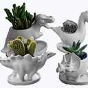 Ceramic Succulent Plant Pot Cactus Plant Pot Flower Pot Container Planter with Drainage Hole Home Office Desk Garden Gift Idea Animal Shaped Flower Pot Cute Vase Pot (4pcs Dinosaur)