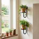 Wall Plant Holder Set of 2 for Outdoor, Metal Hanger, Floating Flower Display Stand for Window, Space Saving & Easy to Assemble (Pots/Plants Not Included)