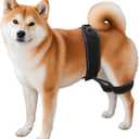 Dog Hip Orthotics Brace, Dog Hip Dysplasia Brace, Support for Hip Dysplasia, Arthritis, Luxating Patella, Back Leg limping, Relieve Hip Pain and Orthodontic Assistance - Medium