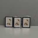 3.5x5 Picture Frame Set of 3, Black Metal Photo Frames with HD Glass, Fits 2.5x3.5 with Mat or 3.5x5 without Mat, Wall Hanging and Table Display