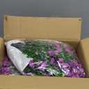 2 Pcs Artificial Boxwood Topiary Ball Trees - Purple 23" with Ground Spike, Weather Proof UV Resistant Faux Greenery Shrubs Bushes for Porch, Garden, Front Yard Decor, Indoor/Outdoor Planters