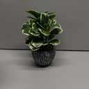 Artificial Plants Indoor Outdoor, Faux Variegated Oak Leaf Plant, Fake Potted Plants Artificial Decor for Coffee Table Desk Shelf, Faux Plants Indoor for Living Room Bathroom Bedroom Entryway Office