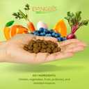 Evanger's Grain Free Chicken with Sweet Potato & Pumpkin Dry Food for Dogs  16.5 lb Bag  Deboned Chicken, Omegas 3 & 6, Probiotics  All Life Stages Formula (EXP 02/11/27)