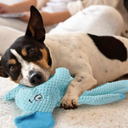 Dog Squeak Toys for Small, Medium & Large Dogs, Durable Chew Toy for Teething and Chewing, Tough Interactive Puppy Toy, 5-Pack, for Dogs