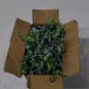 Dolicer 2 Pack Faux Eucalyptus Garland, 12Ft Artificial Vines Fake Hanging Eucalyptus Leaves Greenery Garland for Wedding Backdrop Arch Wall Table Party Indoor Outdoor Decor (Grey Green)