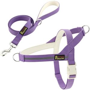 Plutus Pet Cotton Dog Harness and Leash Set, Reflective and Soft Padded, Quick Fit Vest Harness, for Dogs, Purple, XS