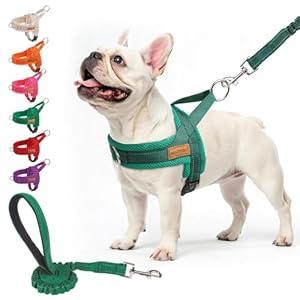 BEAUTYZOO No Pull Dog Harness Medium Sized Dog, Breathable Mesh Padded Dog Harness and Leash Set, Adjustable Reflective Escape Proof Dog Vest Harnessss Quick Fit for Training Walking, Green M