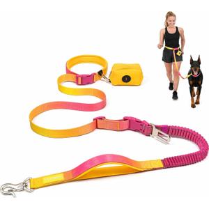 RYNVALE Hands Free Dog Leash with Car Seatbelt Clip & Poop Bag | Heavy Metal Clip, Dual Padded Handles, 220lb Shock Absorbing Bungee Waist Belt, for Running Walking 6 feet L