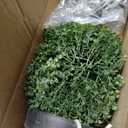 Nearly Natural 36 in Artificial Triple Ball Boxwood Topiary Tree with Pot