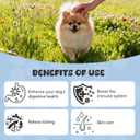 2 x Dog Allergy Relief, Boosts Immunity, Relieves Skin Itching Caused by Seasonal Allergies, Protects Coat, Chicken Flavor - 30 Tablets (120g)