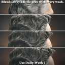 3 x Just for Men Control GX Grey Reducing Shampoo, Gradual Hair Color with Keratin for Stronger Thicker and Healthier Looking Hair, 4 Fl Oz - Pack of 1 (Packaging May Vary)