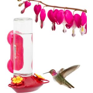 Perky-Pet Window-Mounted Glass Hummingbird Feeder - 14 fl oz Nectar Capacity - Entertaining Bird Watching - Glass Window Bird Feeder - 455-2 - Family Birdwatching