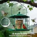 Birdream Squirrel Proof Bird Feeders for Outdoor Hanging, Metal Cage Bird Feeder with Rain Proof Covered for Wildbirds Bluebird Finches, Green