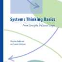 Systems Thinking Basics: From Concepts to Causal Loops, Paperback
