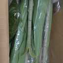 Dracaena Plant Artificial Tree 6Ft Tall Fake Tropical Floor Plants Potted (Real Touch) Artificial Silk Tree Leaf Faux Trees White Tall Planter for Home Office Living Room Indoor Outdoor Decor