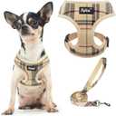 PUPTECK Soft Mesh Dog Harness Small Sized and Leash Set Pet Puppy Cat Comfort Padded Vest No Pull Harnesses, Beige, XS