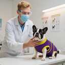 Kuoser Recovery Suit for Dogs Cats After Surgery, Professional Pet Recovery Shirt Dog Abdominal Wounds Bandages, Substitute E-Collar & Cone,Prevent Licking Dog Onesies Pet Surgery Recovery Suit