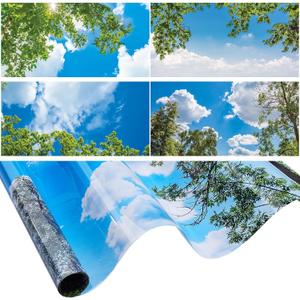 Amylove 4 Pcs Light Covers Classroom Ceiling Panels Light Filters with Backlit Film Material for Office School, 4 x 2 Feet(Charming Color,Blue Sky, Leaves)