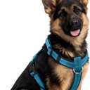 No Pull Dog Harness, Arcolma,Made to Roam Collar Design with Breathable Neoprene Padding, Y-Shaped Anti-Choking,Double D-Ring Traction, High-Reflecti (Blue, XL)