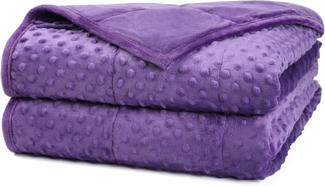 Alomidds Weighted Blanket, Luxury Velvet Weighted Blankets for Kids,Warm and Breathable Soft and Comfort Minky, Cute Heavy Blanket with Premium Glass Beads (41"x60" 7LBS, Purple)