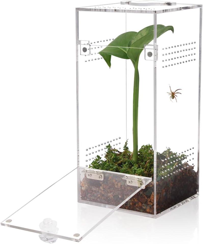 Jumping Spider & Tarantula Enclosure, Snail & Praying Mantis Habitat, Insect & Small Reptile Terrarium (6.8x3.1x3.1inch)