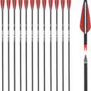 Carbon Arrow Hunting Arrows with 100 Grain Removable Tips for Archery Compound & Recurve & Traditional Bow Practice Shooting (Pack of 12)
