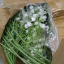 Babys Breath Artificial Flowers, 30 pcs White Flowers Artificial Real Touch Faux Flowers Bouquet Look Real Fake Flowers for Wedding Party Home Garden Tables Centerpieces Office Arrangements Decoration