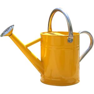 Metal Watering Can, One Gallon Watering Cans Stainless Steel for Outdoor Indoor Garden Plants Watering (Yellow)