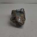 WINSEE Service Dog Vest Harness for Large Dog, Tactical Working MOLLE Vest with 4 Pet Patches, No Pull Heavy Duty Harness for Training Walking (Brown)