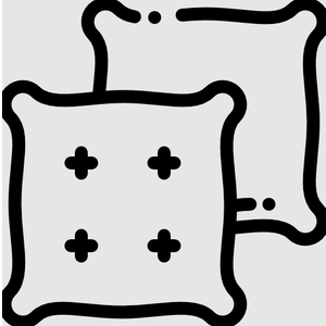 Two Cushions 24x24x5.5 and Two Pillows 23x20