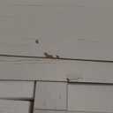 ChooChoo Over The Toilet Storage Cabinet, Farmhouse Bathroom Storage Cabinet with Sliding Door, Over Toilet Storage with Adjustable Shelves, Space-Saving, White