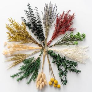 WILD AUTUMN 12 Kind Dried Flowers Set - Including Lavender, Eucalyptus, Wheat, Bunny Tails, Handmade for DIY Crafts, Vase Decor, Wedding/ Home/ Birthday/ Seasonal Decor