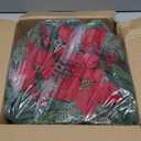 WellSign Christmas Wreath for Front Door, 24 Inch Large Outdoor Christmas Wreath with Hangers, Green Pine Xmas Wreath with Red Artificial Poinsettia Flowers for Fireplace Wall Window Home Indoor Decor