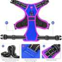 PHOEPET 2019 Upgraded No Pull Dog Harness, Reflective Adjustable Vest, with a Training Handle + 2 Metal Leash Hooks+ 3 Snap Buckles +4 Slide Buckles(XL, Royal Blue)