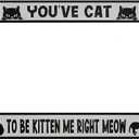 oFloral You've Cat to Be Kitten Me Right Meow Aluminum Alloy License Plate Frame Lively Black Cat Applicable to US Standard Metal Car Tag Frame Front License Plate Holder for Women Men(1 Pack)