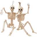 2pcs 24" Halloween skeletons full body skeletons