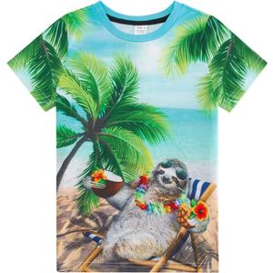 RAISEVERN Boys Girls 3D Graphic Printed T-Shirts Short Sleeve Summer tees for 4-14 Years (1a-hawaiian Style 03)