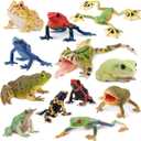 Toymany Frog Toy Figures, Plastic Rainforest Woodland Animals Toy Frogs Set with Realistic Poison Dart Frog, Cake Topper Party Favor Garden Flowerpot Plants Decor