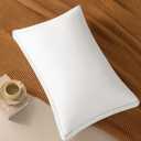 LBRO2M White Goose Down Pillow 1050 Fill Power 80% Goose Down100% Cotton Pillowcase Queen Down Pillows Ideal for Back Sleepers (20"X36", Set of 1)