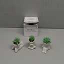 Der Rose 3pcs Fake Succulents Plants Artificial for Bathroom Bedroom Home Room Decor Aesthetic Indoor (White)