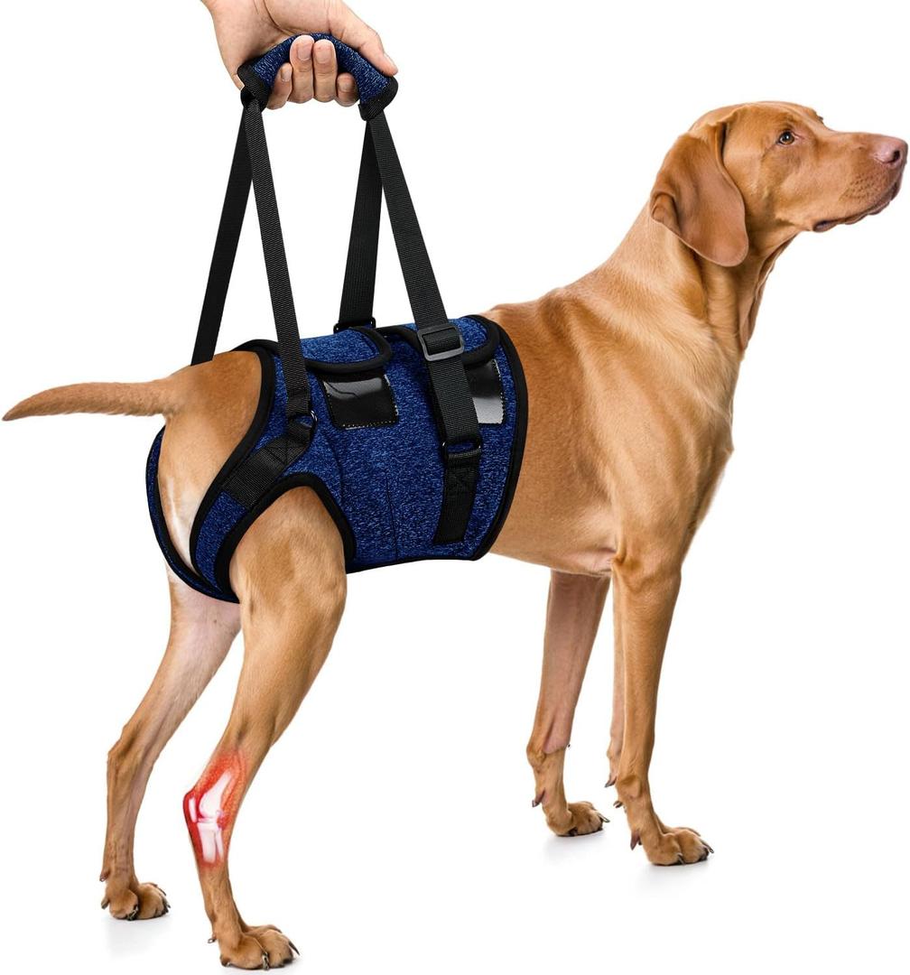 SlowTon Dog Lift Harness - Adjustable Dog Sling for Medium Large Dogs, Hind Leg Support to Help Rehabilitate, Soft Padded Dog Support Harness for Elderly, Injured, Arthritic, Disabled Dogs(BL,S) (Small(Waist:18.5''-21.5''))