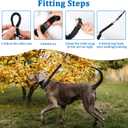 Mayerzon Dog Collar, Patented Martingale No Pull Collar for Small Medium Large Dogs with Buckle for Walking Training, Hidden Design (Black, Large,2.5mm,18.5"-23.5" Neck)