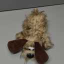 JKW Plush Dog Toy, Squeaky & Stuffed Puppy Toy, Small & Medium Dog Toy