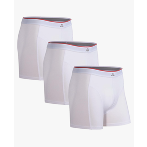 DANISH ENDURANCE Mens Underwear, Viscose from Bamboo Boxers for Men, Boxer Briefs Pack, Ropa Interior Hombre, Calzoncillos, XL