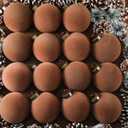 Liliful 15 Pcs Velvet Christmas Balls Bulk Flocked Christmas Tree Ball Ornaments Plastic Xmas Decorative Hanging Ornaments(Brown,3.15 Inch)