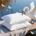 Goose Feather Pillow Queen Size Pack of 2 - Down Hotel Bed Pillows for Sleeping, Soft 600 Thread Count Cotton Cover, Fluffy Support Surround Fill Polyester for Back, Stomach, Side Sleepers